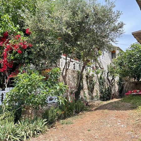 Mustafaraj Apartments クサミル エクステリア 写真
